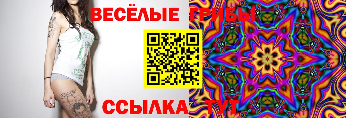 Мыски  Галлюциногенные грибы прущие грибы  Вход с VPN 